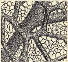 Illustration: