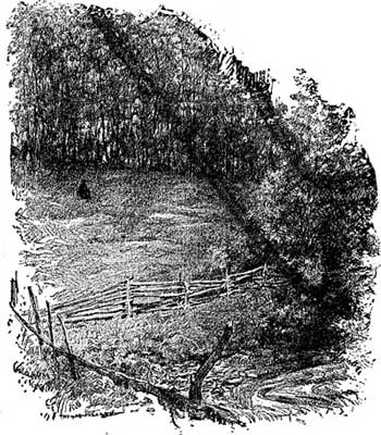 [Illustration]