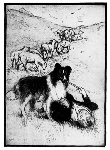 'Boy Blue and Shep Play Together in the Fields.'
