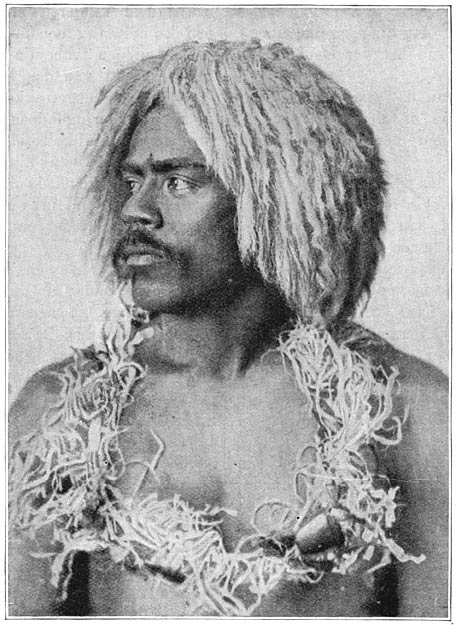 Melano-Polynesi&euml;r.