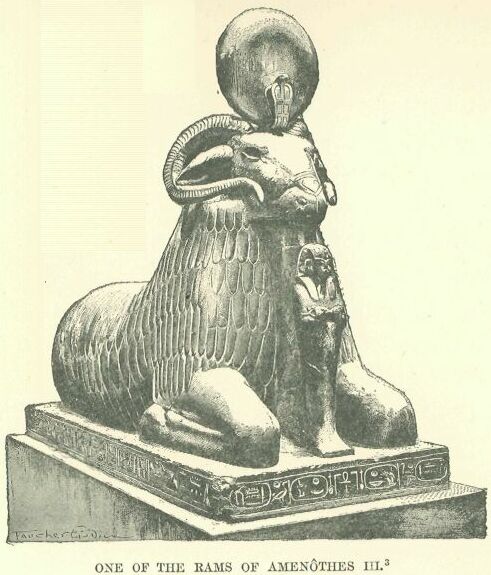 059.jpg One of the Rams Of Amen�thes III 