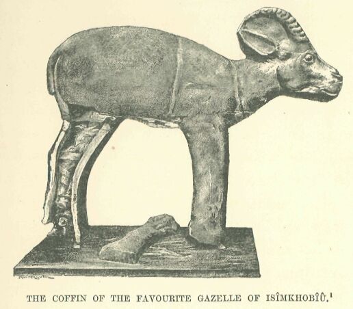 027.jpg the Coffin of The Favourite Gazelle Of Is�mkhobiu 