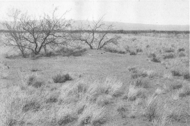 Plate V. Fig. 1.&mdash;Clearing About a Mound.