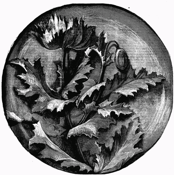 FIG. 2.&mdash;A PLAQUE.
