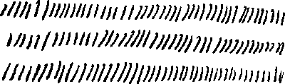 Figure&nbsp;I.&mdash;Strokes Made in Thirty Seconds. A test of muscular speed