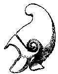 Casque en bronze dor&eacute; trouv&eacute; sur la presqu'&icirc;le de
Tunan.