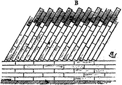 Fig. 2.&mdash;Coupe longitudinale.