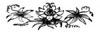 decorative illustration