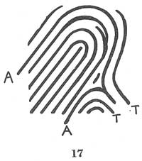 Fig. 17