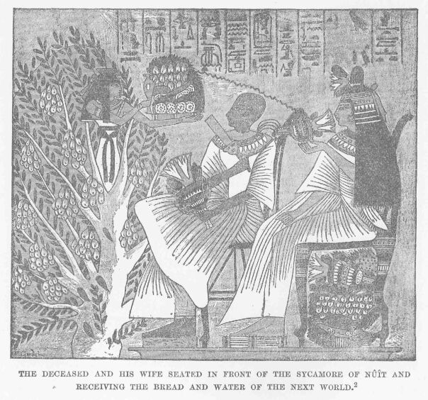 264.jpg the Deceased and his Wife Seated in Front of The Sycamore of N��t and Receiving the Bread And Water Of The Next World. 2 