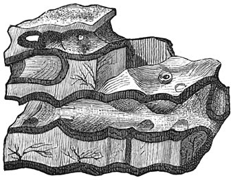 Fig. 65. Oudste bezinkingen. Laurentische formatie. Eozo&ouml;n canadense.