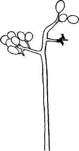 Fig.&nbsp;35.