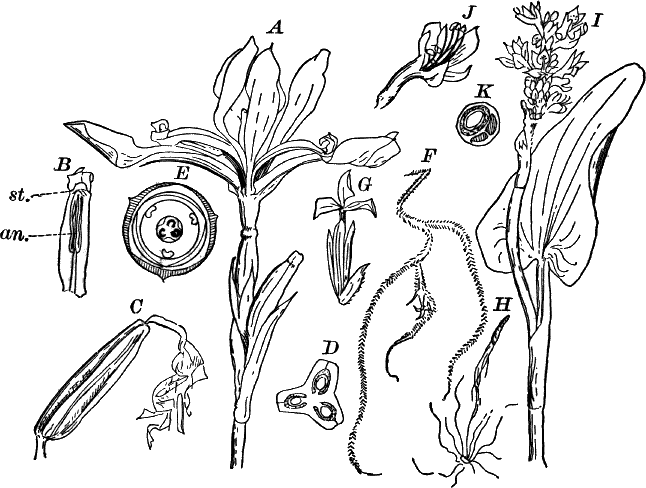 Fig.&nbsp;84.