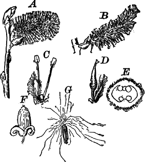 Fig.&nbsp;96.