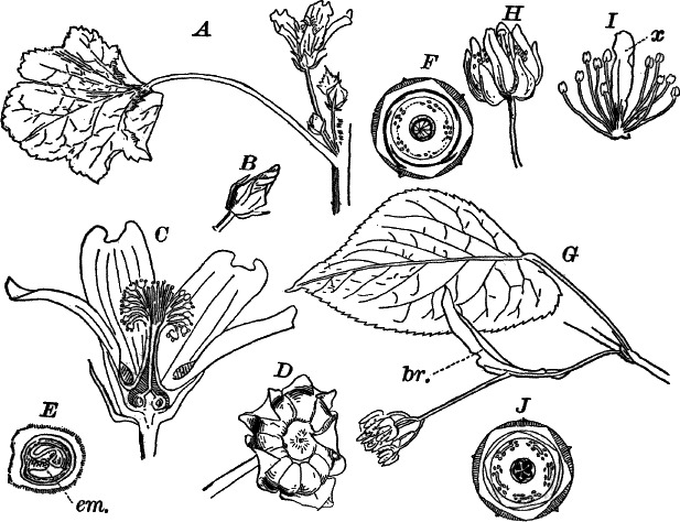 Fig.&nbsp;106.