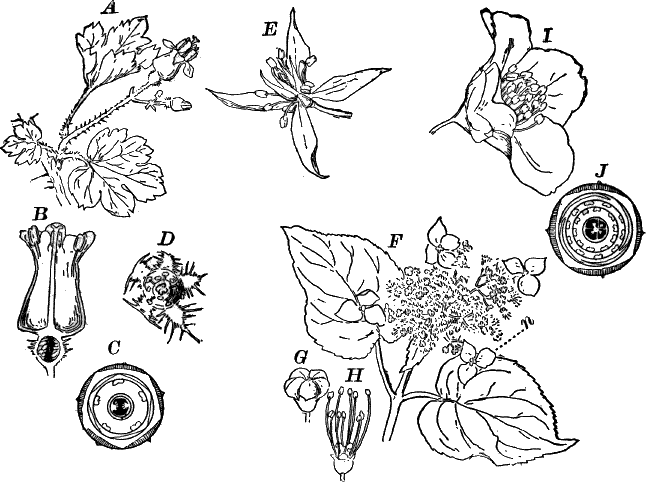 Fig.&nbsp;111.