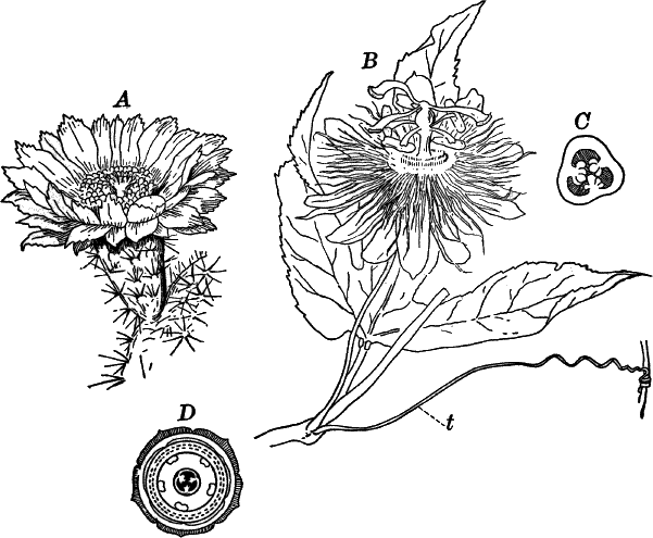 Fig.&nbsp;112.