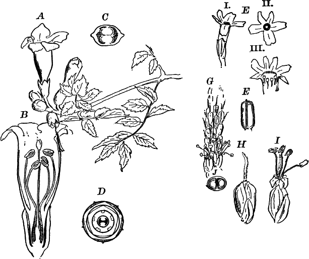 Fig.&nbsp;121.