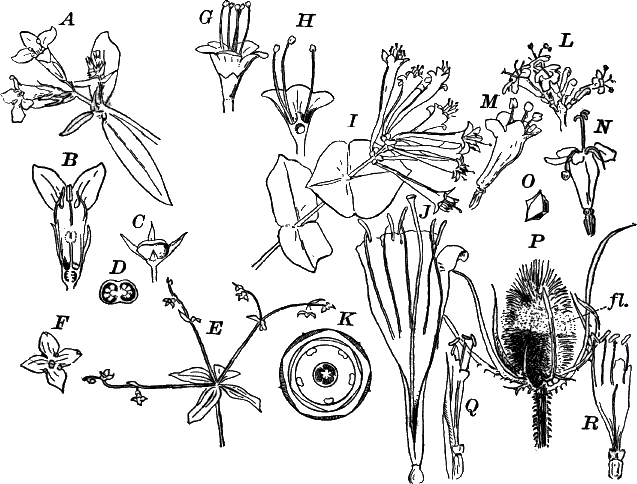 Fig.&nbsp;124.