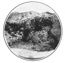 Fig. 68.