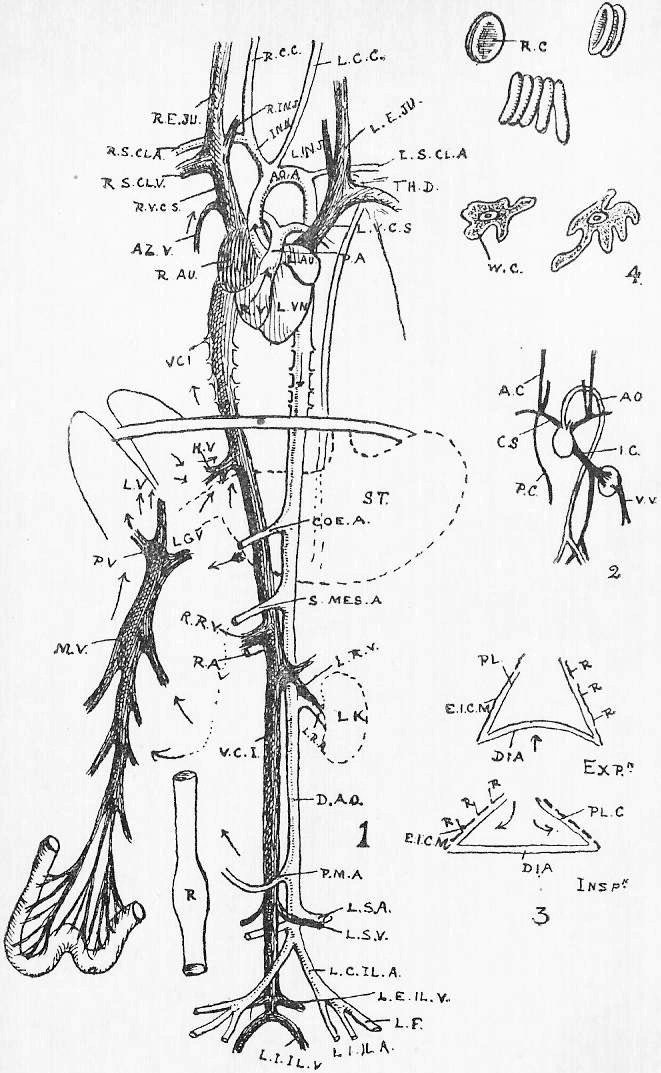 Sheet 2, 2nd