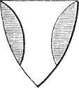 see text