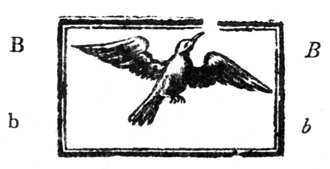Little birds can fly very fast&mdash;They do no harm; why should little boys delight to injure them?