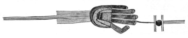 Fig. 354&mdash;Human hand