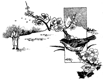 Nasak�ji leva les yeux et aper�ut un moineau perch� sur une branche
