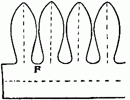 Fig. 177&mdash;Newspaper cut for chief's head-dress.
