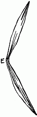 Fig. 241&mdash;Twist each end into a point.