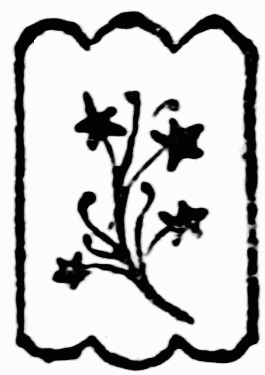 decoraci�n