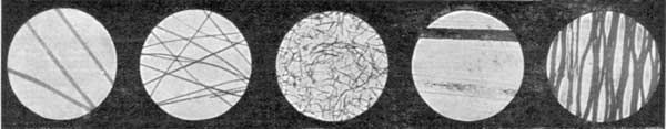 MORE TINY CLUES.&mdash;HUMAN HAIR CONTRASTED WITH ANIMALS'
HAIR, WOOL, AND FIBRE.