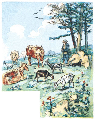 P�turage du Jura