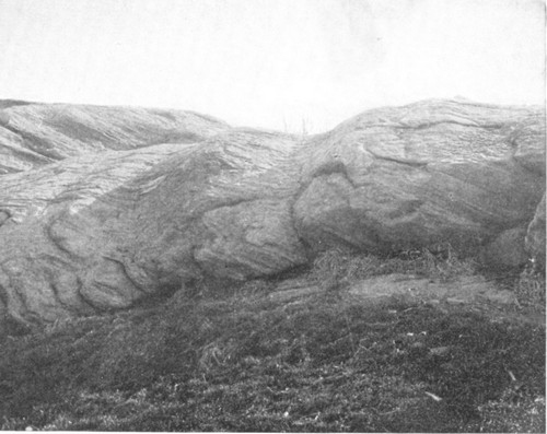 Glacial grooves in the South Meadow, Central Park, New
York