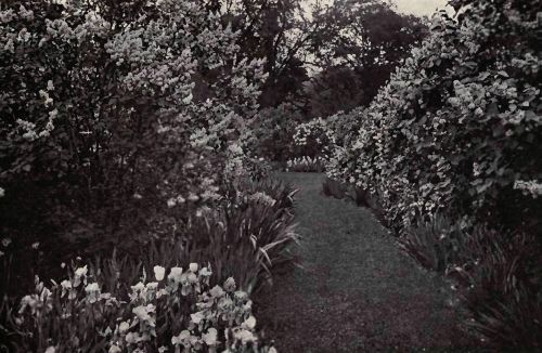 PLATE 16 "Holm Lea," Brookline, Mass. Professor C.&nbsp;S. Sargent