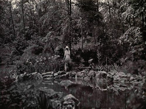 PLATE 46 Section of a wild garden at Tuxedo Park, N.&nbsp;Y.