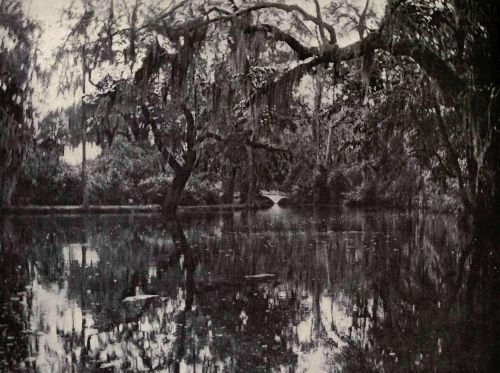PLATE 113 "Magnolia Garden," Charleston, S.&nbsp;C. Colonel Drayton Hastie