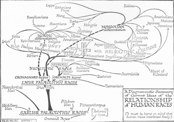 A Diagrammatic Summary of Current Ideas of the Relationship of
 Human Races