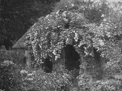 Outside View of the Brick Pergola shown at Page 214,
after Six Years' Growth.