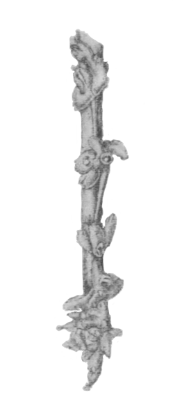 Illustration: Fig. 45.&mdash;Zoarium of
Stolella indica on stem of water-plant (from Calcutta), � 6.