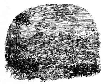 p121.jpg