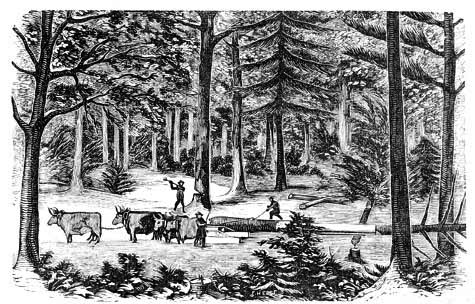 Log
hauling