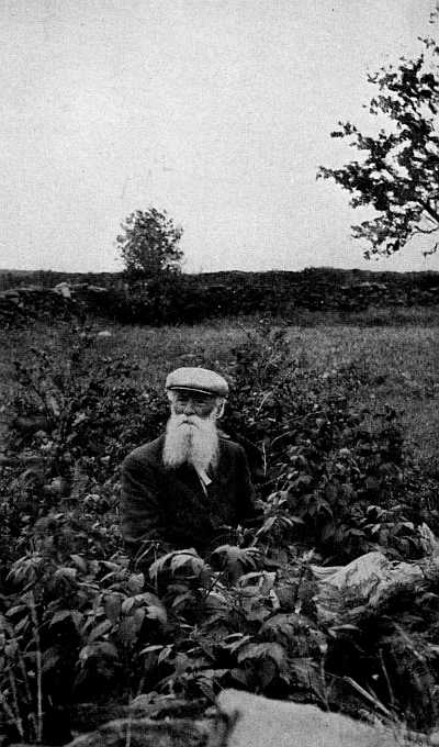 EATING RASPBERRIES ON THE SITE OF HIS GRANDFATHER'S
HOUSE, LONG SINCE TORN AWAY