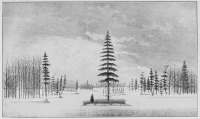 A WINTER VIEW IN THE ATHAPUSCOW LAKE
By Samuel Hearne, 1771