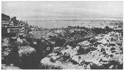 An American first aid station in the trenches in France
(� Committee on Public Information)
