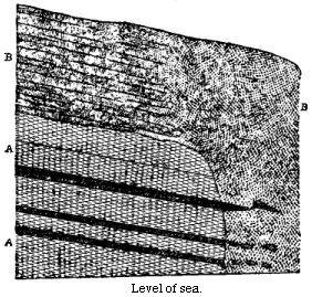 [Illustration:
Section at Point Tenuy]