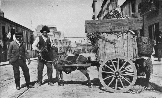 “The city’s street-cleaning department is not such a joke
as it appears.”