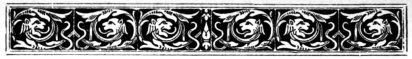 decoraci�n