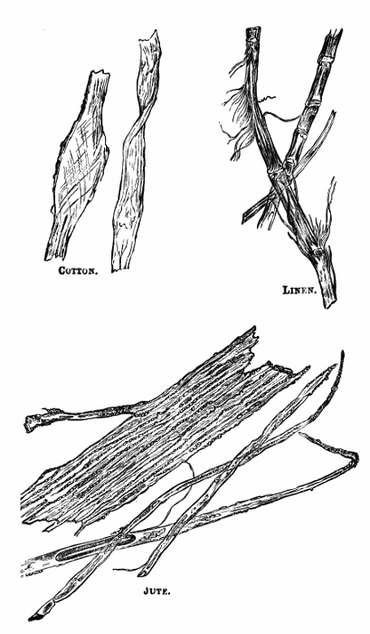 Cloth fibers under the
microscope.